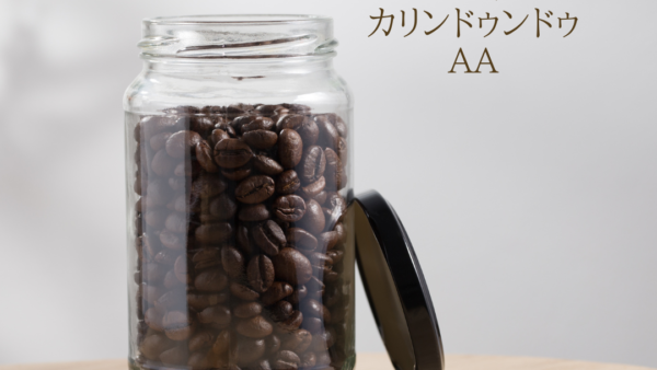 おまつおすすめ♪「ケニア　カリンドゥンドゥ　ＡＡ」